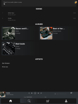 Play Tracks - PHP Web Music Player Screenshot 11