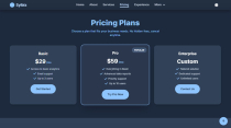 Sylbiz - Multipurpose Business Template Screenshot 9