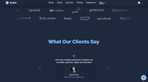 Sylbiz - Multipurpose Business Template Screenshot 11